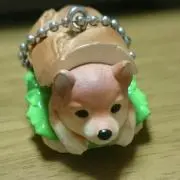ゆうさ