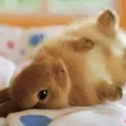 まな*プロフ確認お願いします。