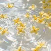 みなここの画像