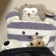 かんこあ