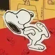 こんちゃんの画像