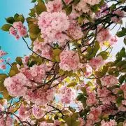 りりか❁⃘同梱でお値下げの画像