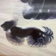 おすしの画像