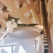 結の画像
