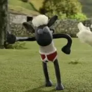 Marmotの画像