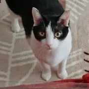 ぽんぬ