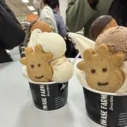 なななの画像