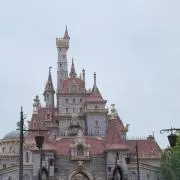 ねねの画像