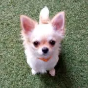 mari〜☆〜の画像