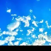 まるお