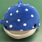 虹色の画像