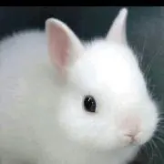 さわちゃん⭐️