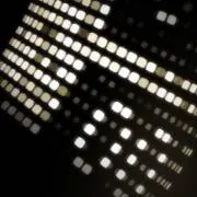 チン