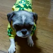 ちーちゃん