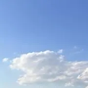 にこの画像
