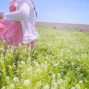 mi♪プロフ見て下さいねの画像