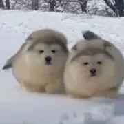 Mの画像