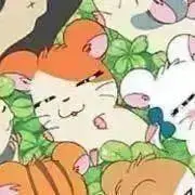 ちっぷちっぷの画像