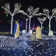 Colours★の画像