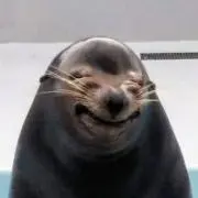 なつ