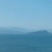 山田
