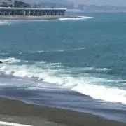 silvaの画像