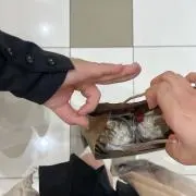 コムの画像
