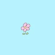 ソルトの画像