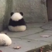 りーの画像