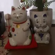 ちーちゃん