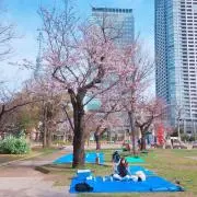 パパのおこづかいで
