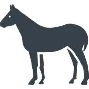 わっさーの画像