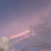 Fの画像
