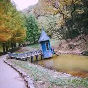 linnelの画像