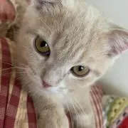 ゆう