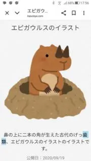 yoshiの画像