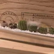 itocraftの画像