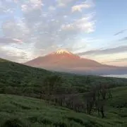 タマ