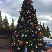 えりりんの画像
