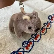 ウォンバットの画像