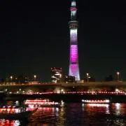 ゆゆの画像