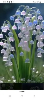 あおの画像
