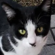 青いこおり