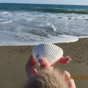 れぴの画像