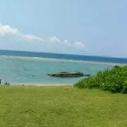 toshi5566の画像