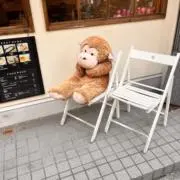 ゆうくん　即日発送の画像