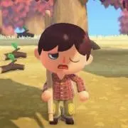 ayaの画像
