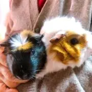 ファフィ♡即買い大歓迎24th質問okの画像