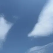 しあの画像