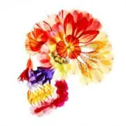 Yon.jの画像